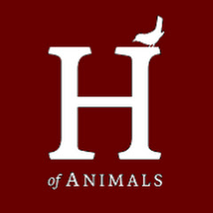 House of Animals - AnimalsToday Avatar