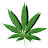 @CannabisForMen99