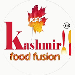 Kashmir Food Fusion net worth