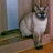 @스칼렛-o4q