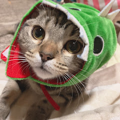 はなび