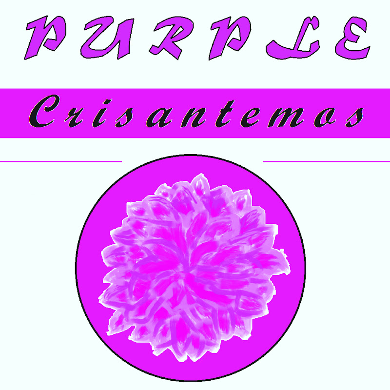 Purple Crisantemos