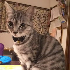 ノイアーどんぐり