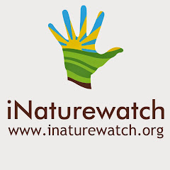 iNaturewatch Foundation