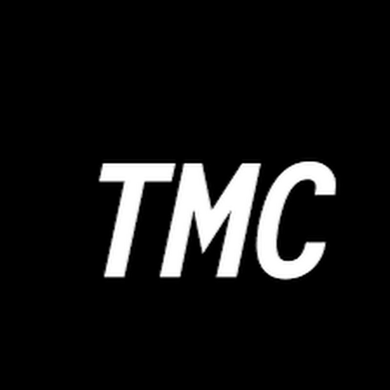 The Movie Critic