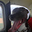Dog is my CoolPilot