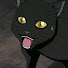 aIs0NYItK1g-channel-avatar-kogazor