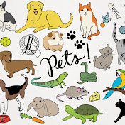 Animals & Pets