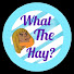 _mLvfEwg8eM-channel-avatar-What the Hay?
