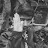 Avatar de @muhammadfuadalfansi1020