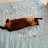 @ricardoalmir's avatar