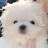 @구름맘-w9t