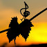 AAEVOLqFaHI-channel-avatar-Art Of Sound And Vision