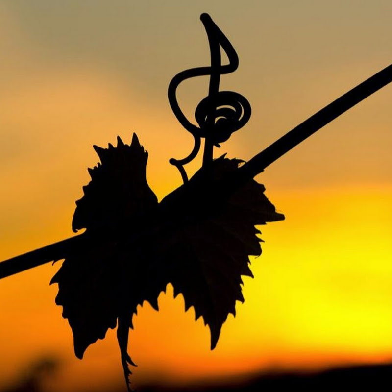 Art Of Sound And Vision