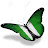 Nigerian View