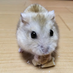 とある男が息抜きしてみたアイコン画像