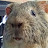 @sqeakyloaf9332 Avatar