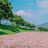 @쨍쨍-j1k