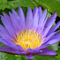 kn-jISsp9do-channel-avatar-Evolumière