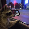 Автор