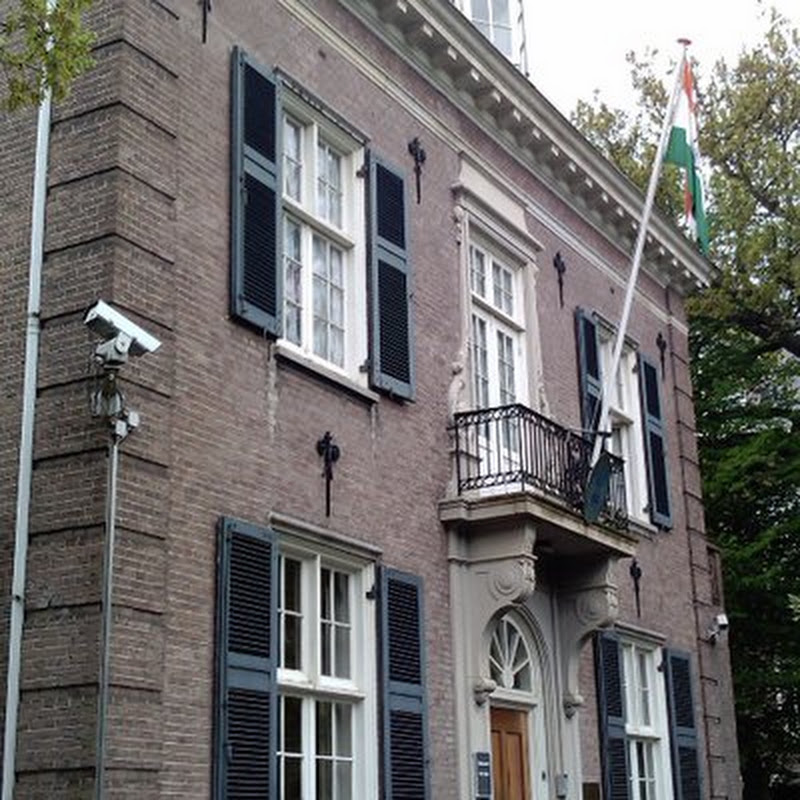 India in Netherlands profile avatar