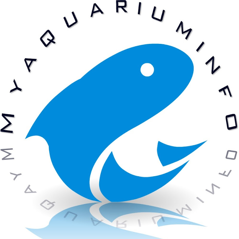 Myaquariuminfo
