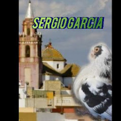 Sergio Garcia Caballero net worth