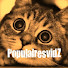 GO_wyNJkAKY-channel-avatar-PopulairesvidZ