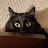 @mikeriesco6174's avatar