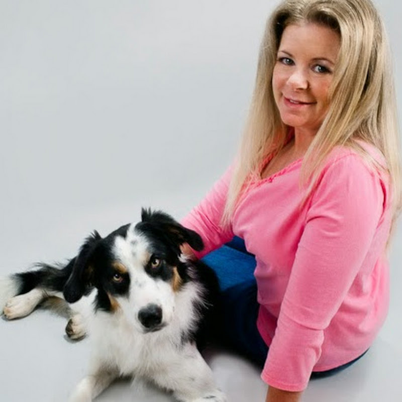 Pam's Dog Academy