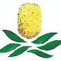 Friends of Gold Coast Regional Botanic Gardens logo
