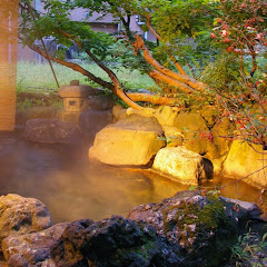 松之山温泉 和泉屋