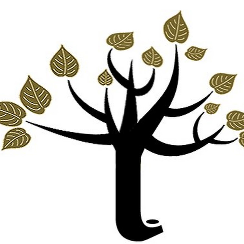 Mustard Seed Wealth Management