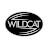 Wildcat Automotive