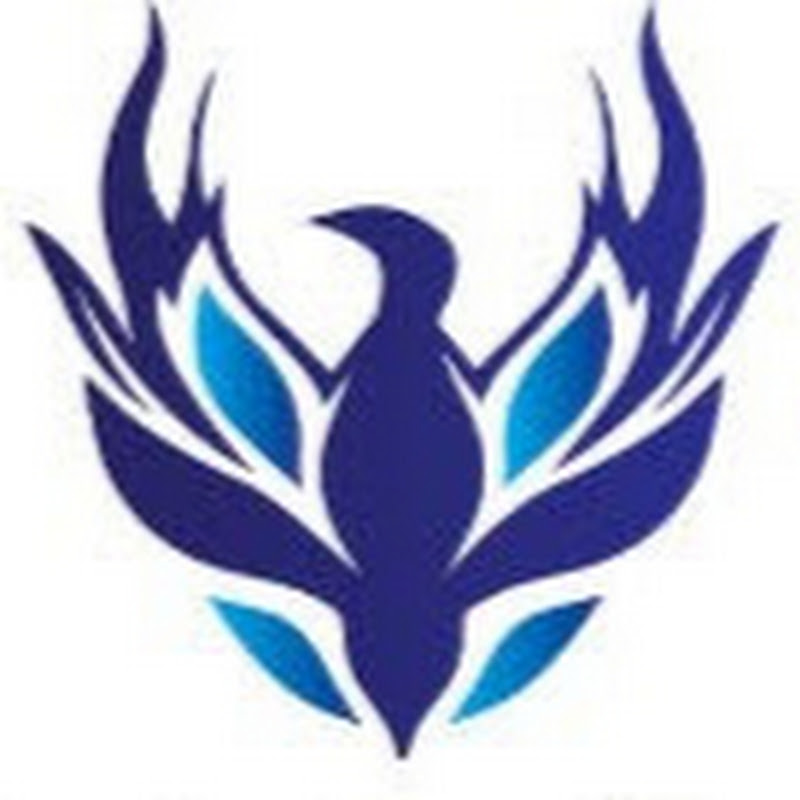 Phoenixolutions Marketing