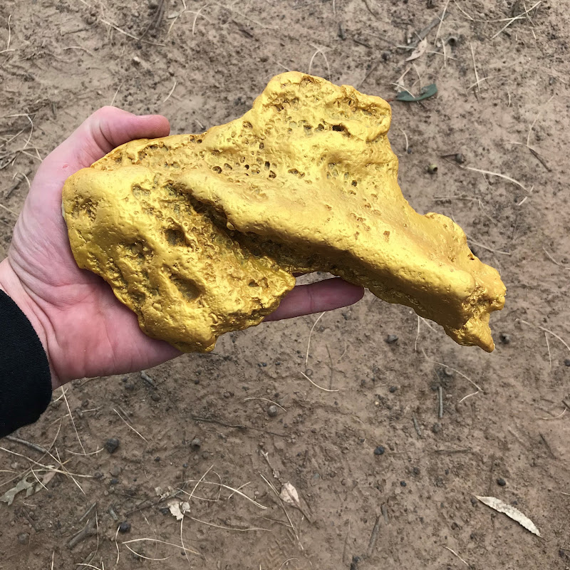 The Gold Rush Guy icon
