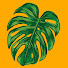 sulmT30KOBg-channel-avatar-Orange Jungle