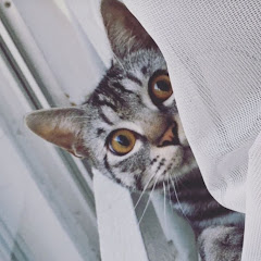 ぷーちゃんの命「メイ」