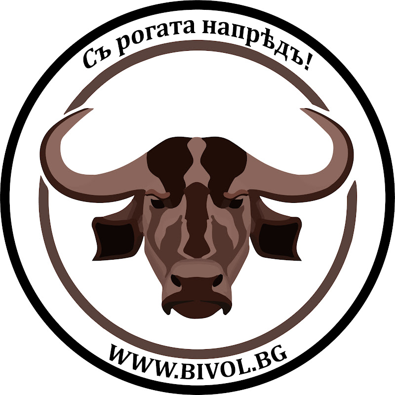 Bivol TV