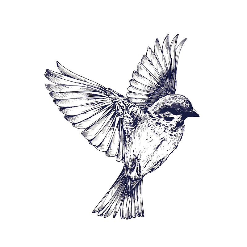 Sparrow Studios