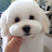 @올리비아-r9c