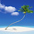 @bou212 Avatar