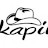 @rajkapilv
