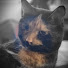 HC_WJtaB7D4-channel-avatar-zixyn _xx