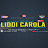 Equipo Virtual LIDDI Carola