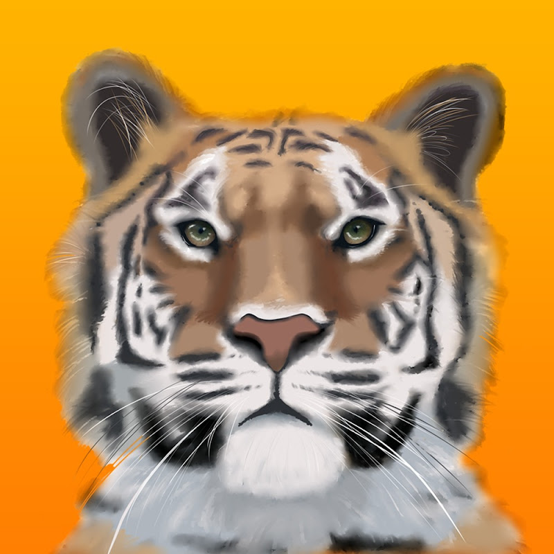 Zoo-Erlebnis
