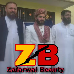 Логотип каналу zafarwal beauty