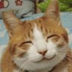 ING lNGアイコン画像