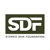 STEREO DIVE FOUNDATION Official Channel
