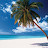 @dm002a8686 Avatar